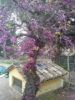 Ξενοδοχείο Relais Valentini San Venanzo